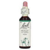 Bachblüten Holly Tropfen (PZN 59909)