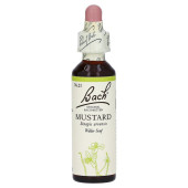 Bachblüten Mustard Tropfen (PZN 114910)