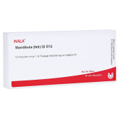 MANDIBULA feti GL D 12 Ampullen (PZN 2934267)