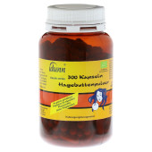 HAGEBUTTEN PULVER Kapseln (PZN 2888159)