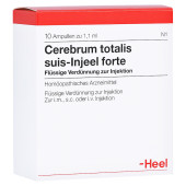CEREBRUM TOTALIS suis Injeel forte Ampullen (PZN 193482)