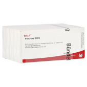 PANCREAS GL D 6 Ampullen (PZN 2945294)
