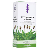 SPITZWEGERICHBLÄTTER BOMBASTUS (PZN 12643217)
