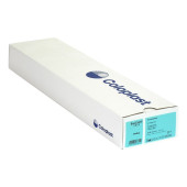 EASICATH Einmalkath.Nelaton Ch 12 5352 Männer (PZN 598747)