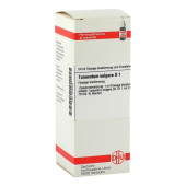 TANACETUM VULGARE D 1 Dilution (PZN 546868)