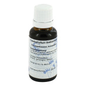 CAULOPHYLLUM D 6 Dilution (PZN 182403)