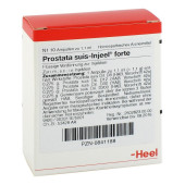 Prostata suis-Injeel forte Ampullen (PZN 841188)