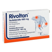 Rivoltan Teufelskralle 480mg (PZN 116240)