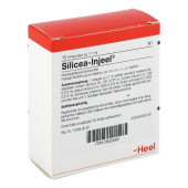 SILICEA INJEEL Ampullen (PZN 935593)