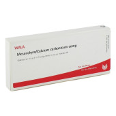MESENCHYM/CALCIUM carbonicum comp.Ampullen (PZN 1751748)