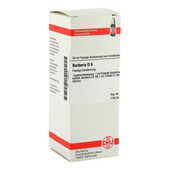 BERBERIS D 6 Dilution (PZN 1760612)