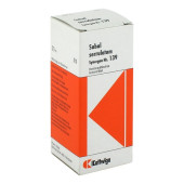 SYNERGON KOMPLEX 139 Sabal serrulatum Tropfen (PZN 1856358)