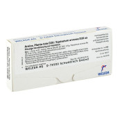 ARNICA PLANTA tota D 20/Equisetum arv.D 20 aa Amp. (PZN 1618475)