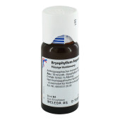BRYOPHYLLUM ARGENTO cultum D 3 Dilution (PZN 1571934)