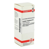 LYCOPUS VIRGINICUS D 2 Dilution (PZN 1777587)