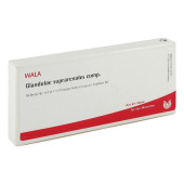 GLANDULAE SUPRARENALES comp.Ampullen (PZN 1751501)