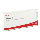 HIRUDO COMP.Ampullen (PZN 1751576)