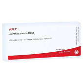 GLANDULA PAROTIS GL D 8 Ampullen (PZN 2923513)