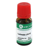 LACHESIS LM 6 Dilution (PZN 2602588)