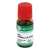 APIS MELLIFICA LM 18 Dilution (PZN 2600655)