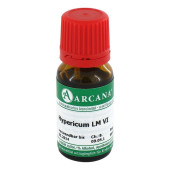 HYPERICUM LM 6 Dilution (PZN 2602246)