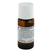 CICHORIUM PLUMBO cultum D 3 Dilution (PZN 2592766)