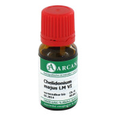 CHELIDONIUM MAJUS LM 6 Dilution (PZN 2601459)