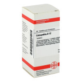 COLOCYNTHIS D 12 Tabletten (PZN 2628903)