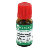 AESCULUS HIPPOCASTANUM LM 6 Dilution (PZN 2600253)