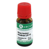 RHUS TOXICODENDRON LM 6 Dilution (PZN 2603547)