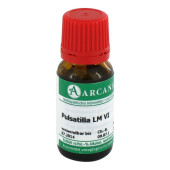 PULSATILLA LM 6 Dilution (PZN 2603458)