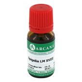 SPIGELIA LM 18 Dilution (PZN 2603866)