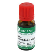 CARBO VEGETABILIS LM 18 Dilution (PZN 2601324)