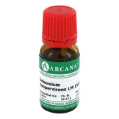 GELSEMIUM SEMPERVIRENS LM 18 Dilution (PZN 2602097)