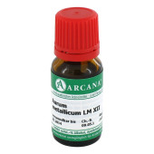 AURUM METALLICUM LM 12 Dilution (PZN 2600810)