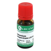 GELSEMIUM SEMPERVIRENS LM 6 Dilution (PZN 2602074)