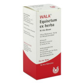 EQUISETUM EX Herba W 5% Oleum (PZN 2088430)