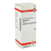 ABROTANUM Urtinktur (PZN 2108730)