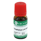 SYMPHYTUM LM 18 Dilution (PZN 2604110)