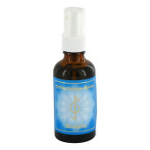 ERFRISCHUNGSSPRAY (PZN 2259096)