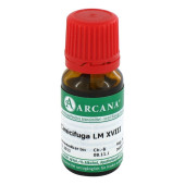 CIMICIFUGA LM 18 Dilution (PZN 2601531)