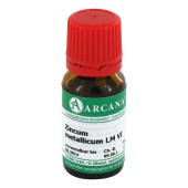 ZINCUM METALLICUM LM 6 Dilution (PZN 2604280)