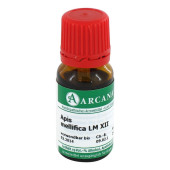 APIS MELLIFICA LM 12 Dilution (PZN 2600649)
