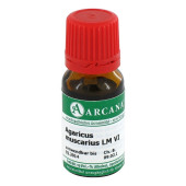 AGARICUS MUSCARIUS LM 6 Dilution (PZN 2600299)