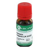 BERBERIS VULGARIS LM 18 Dilution (PZN 2600945)