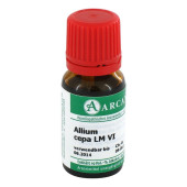 ALLIUM CEPA LM 6 Dilution (PZN 2600336)
