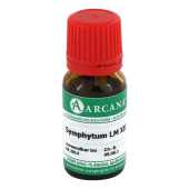 SYMPHYTUM LM 12 Dilution (PZN 2604104)