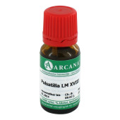 PULSATILLA LM 18 Dilution (PZN 2603470)