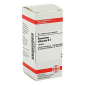 ROSMARINUS OFFICINALIS D 6 Tabletten (PZN 2635493)