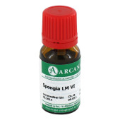 SPONGIA LM 6 Dilution (PZN 2603872)